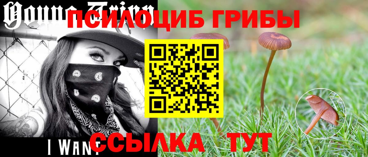 Псилоцибиновые грибы MAGIC MUSHROOMS Полысаево